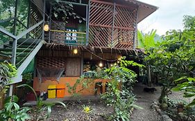 Organico Punta Riel