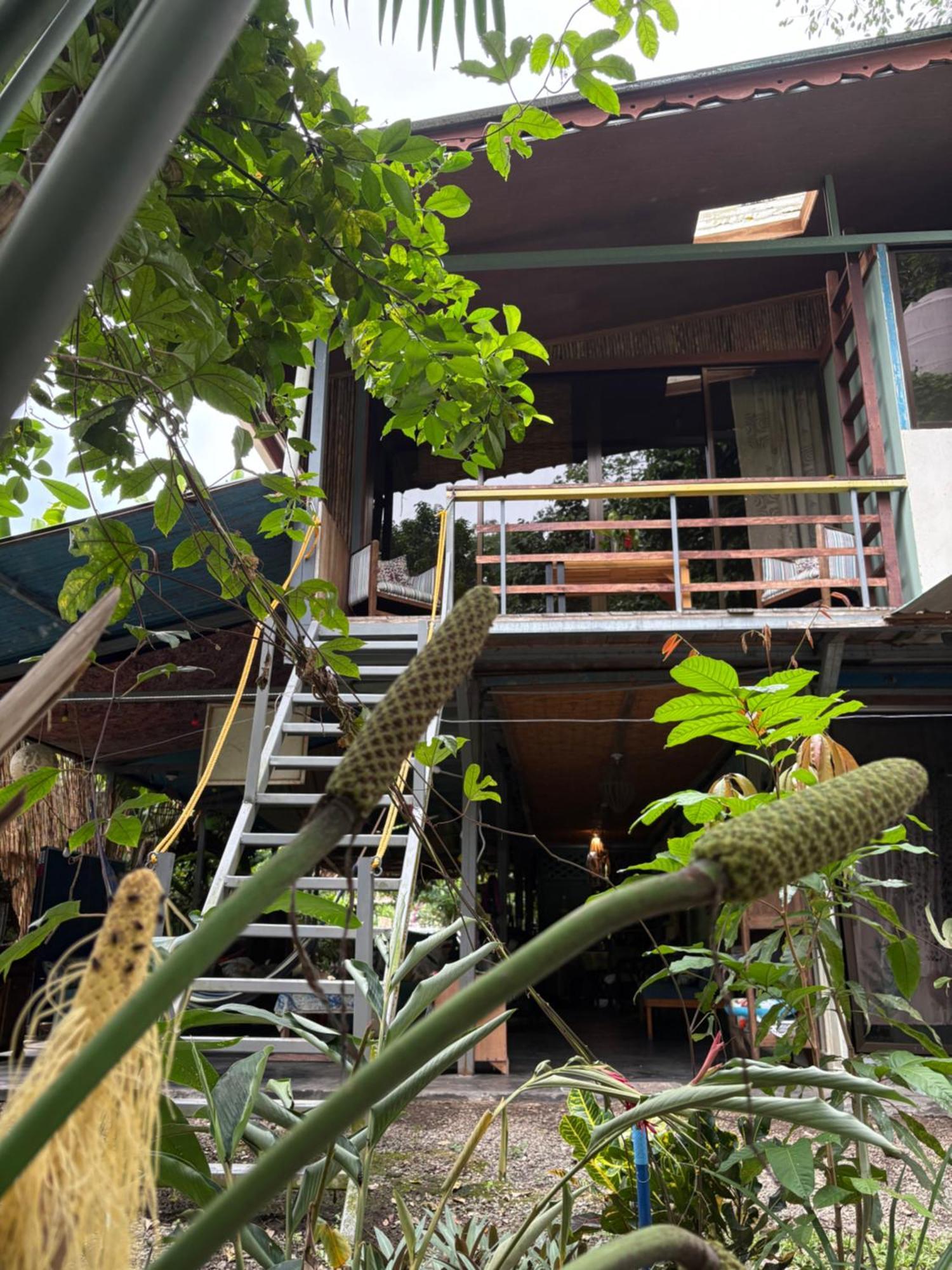 Organico Punta Riel Hotel Cahuita Exterior photo