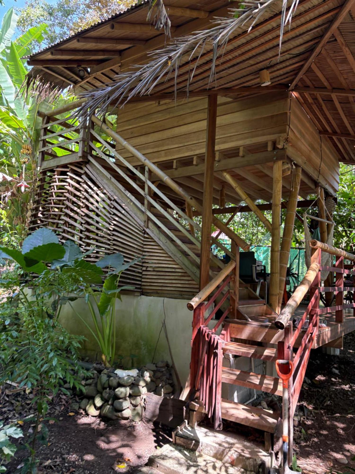 Organico Punta Riel Hotel Cahuita Exterior photo