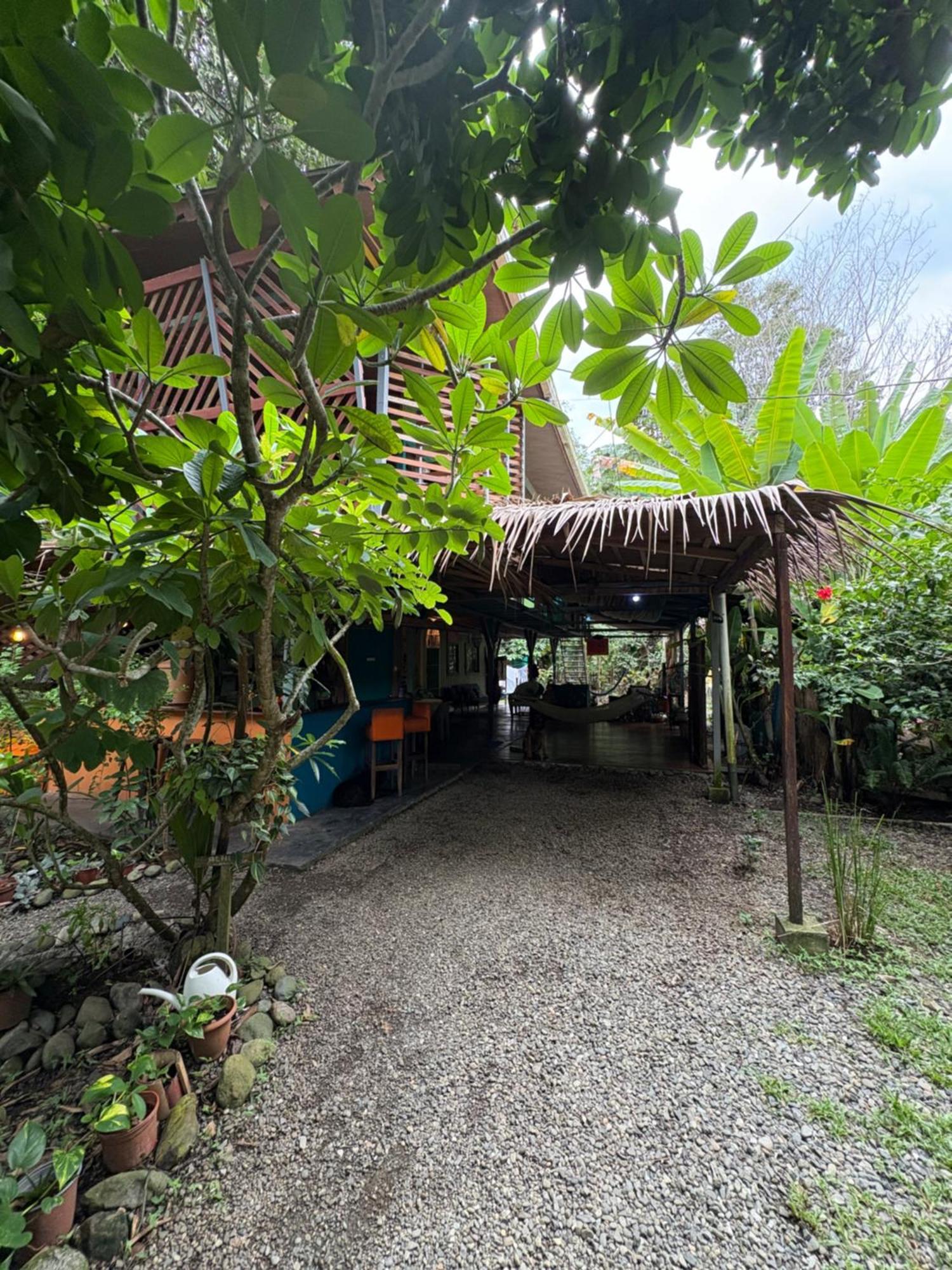 Organico Punta Riel Hotel Cahuita Exterior photo