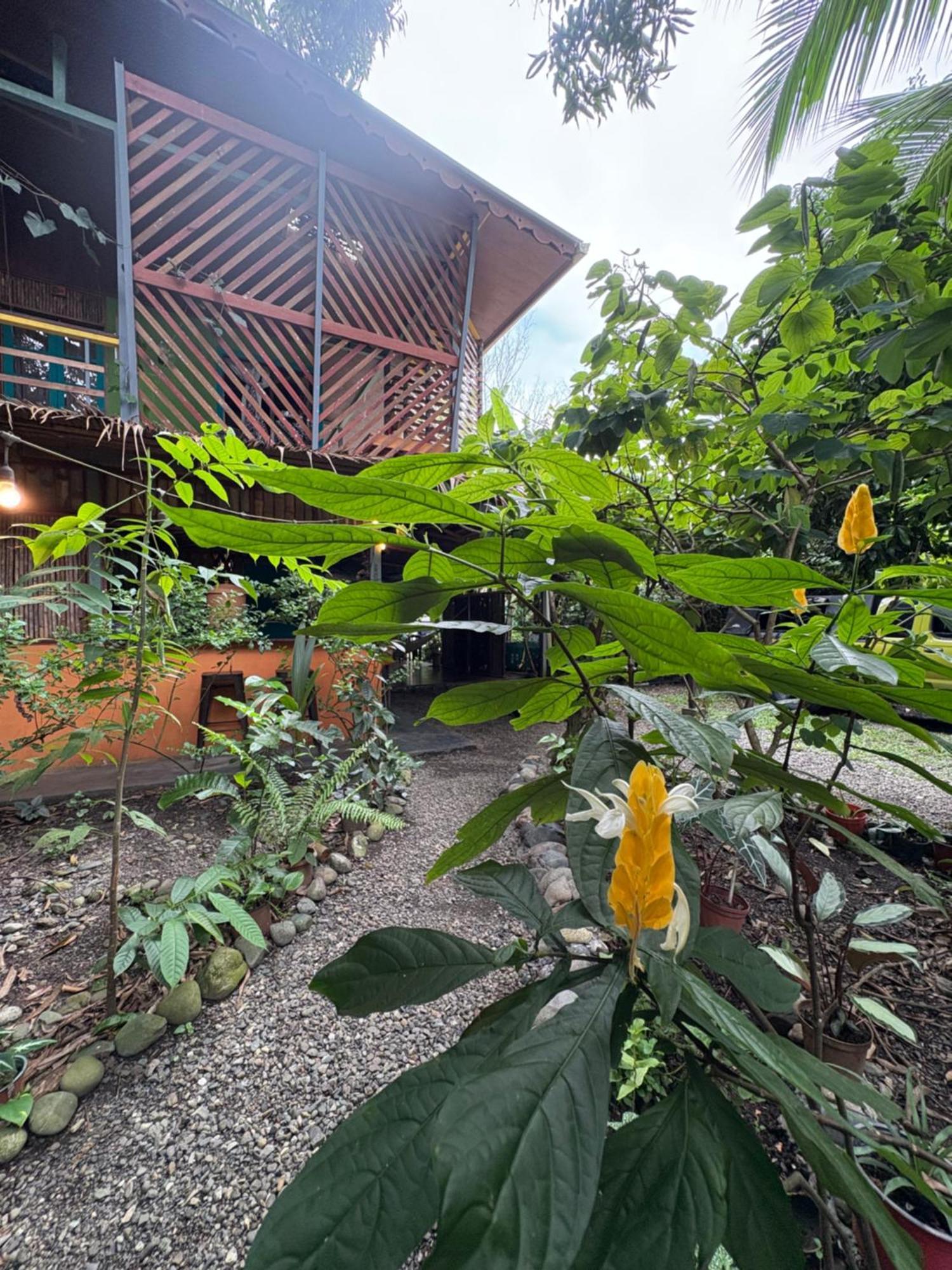 Organico Punta Riel Hotel Cahuita Exterior photo