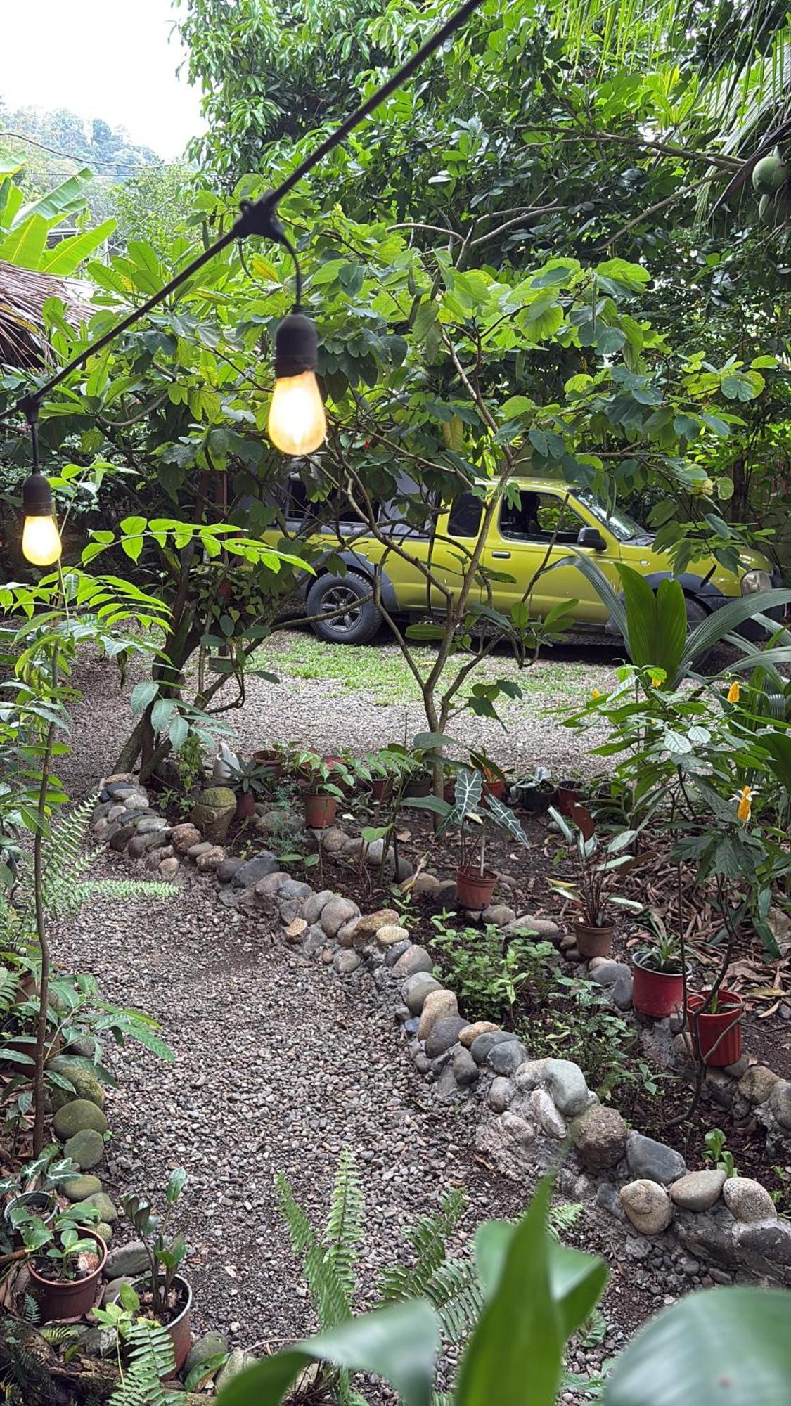 Organico Punta Riel Hotel Cahuita Exterior photo